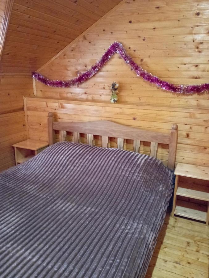 Holiday Home Melodiya Karpat ยาเรมชา ภายนอก รูปภาพ