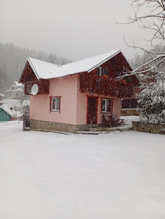 Holiday Home Melodiya Karpat ยาเรมชา ภายนอก รูปภาพ