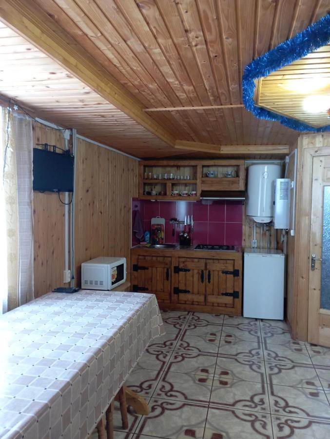 Holiday Home Melodiya Karpat ยาเรมชา ภายนอก รูปภาพ