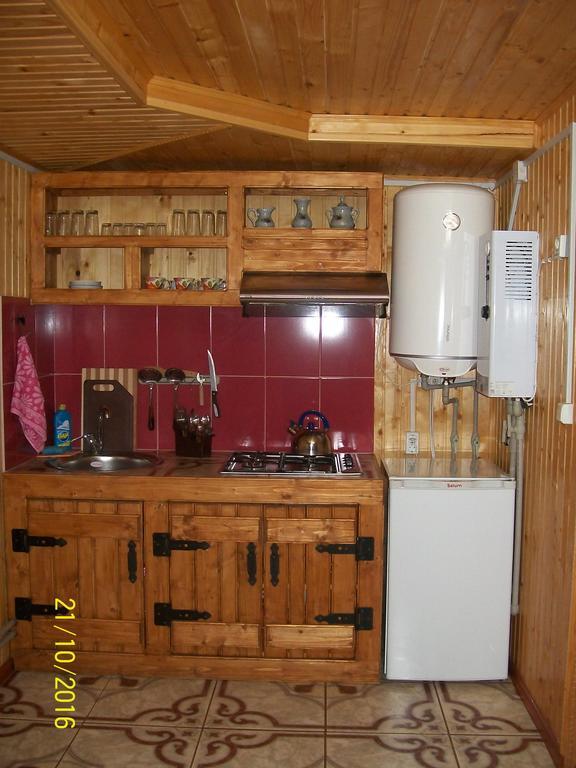 Holiday Home Melodiya Karpat ยาเรมชา ภายนอก รูปภาพ