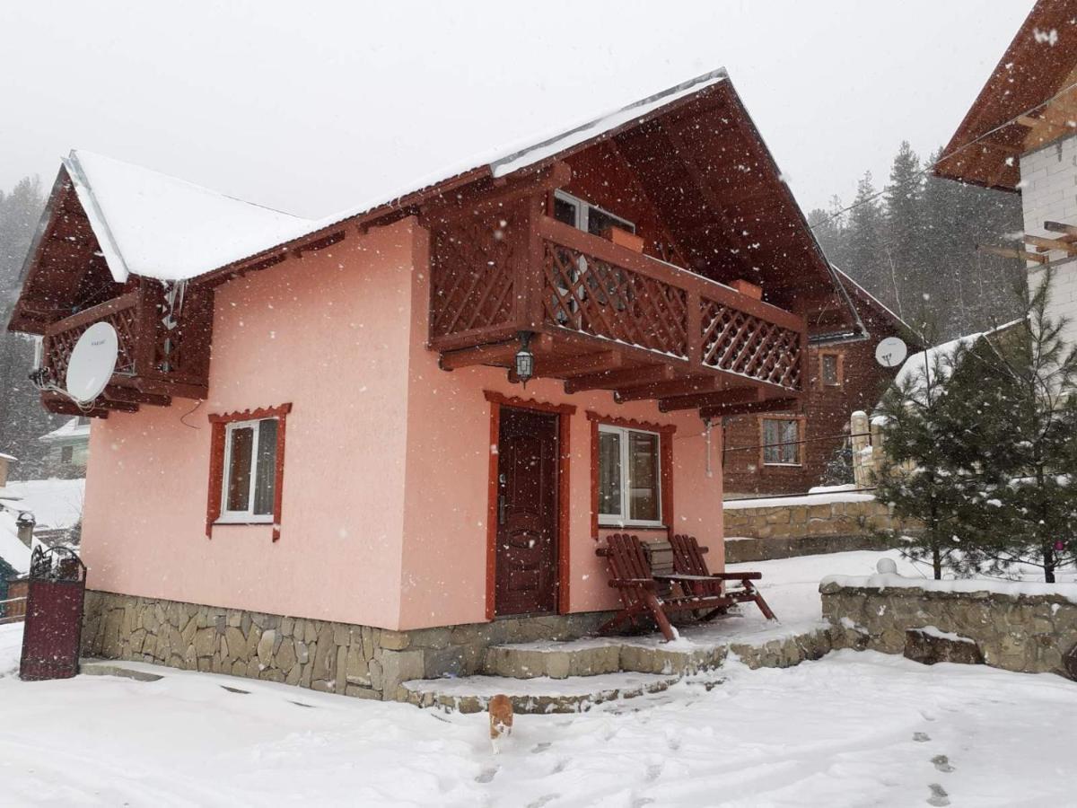 Holiday Home Melodiya Karpat ยาเรมชา ภายนอก รูปภาพ