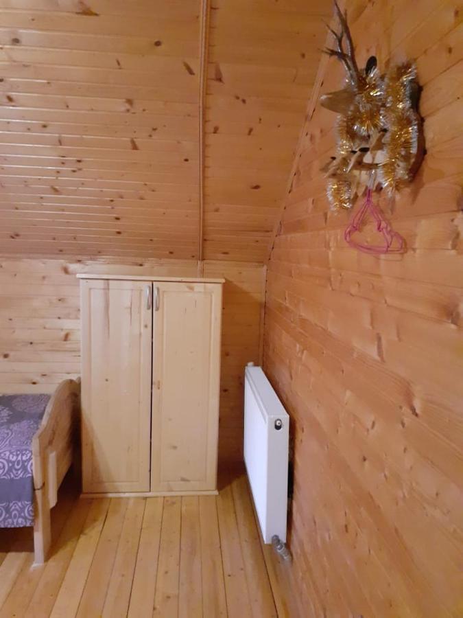 Holiday Home Melodiya Karpat ยาเรมชา ภายนอก รูปภาพ