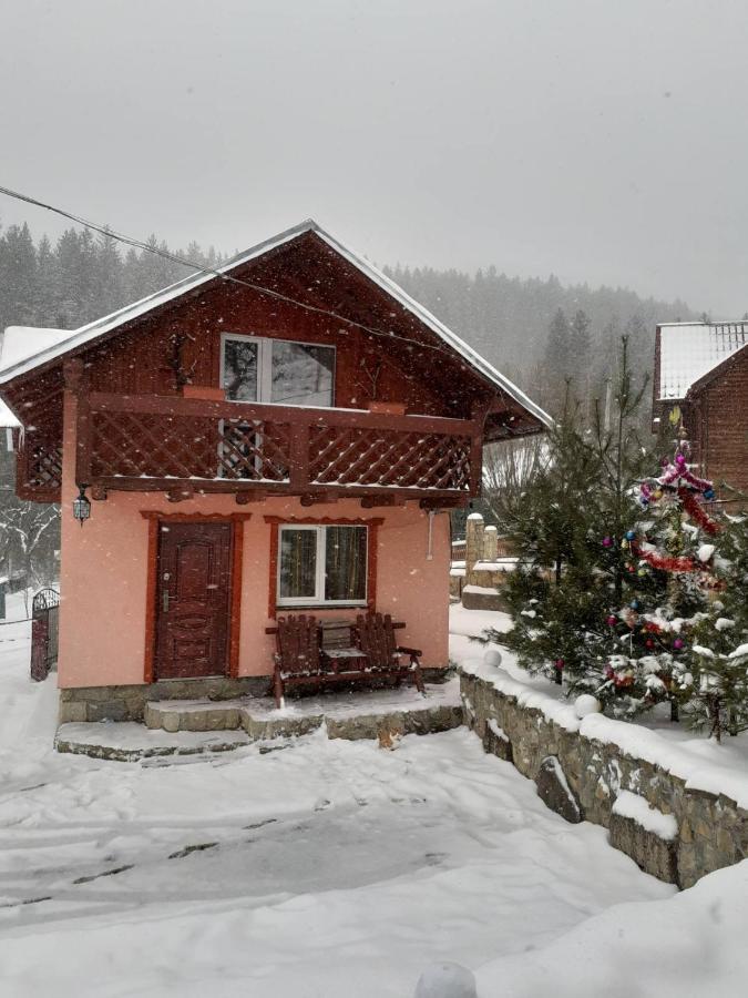 Holiday Home Melodiya Karpat ยาเรมชา ภายนอก รูปภาพ